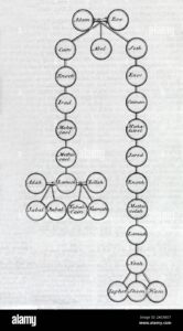 Arbol Genealogico De Adan Y Eva