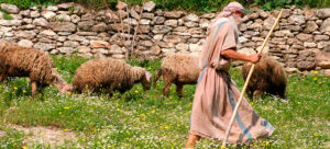 Que Es Pastorear En La Biblia