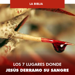 Sanguinario significado bíblico: Descubre el profundo simbolismo detrás de la sangre en la Biblia